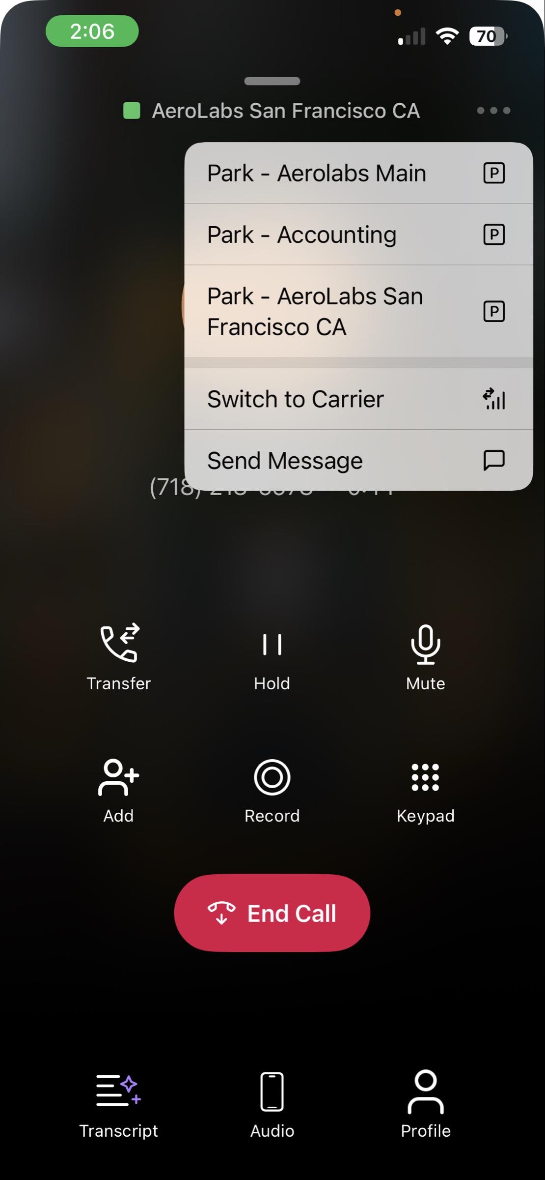 Park Active Call - iOS.jpeg