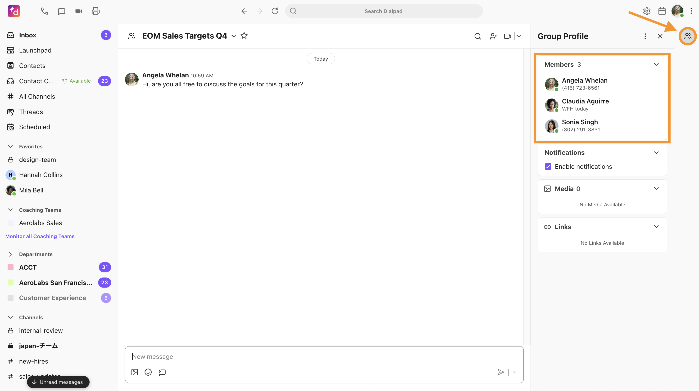View of a group chat with the skinny bar open. The Members panel is expanded to show the members of the group chat.