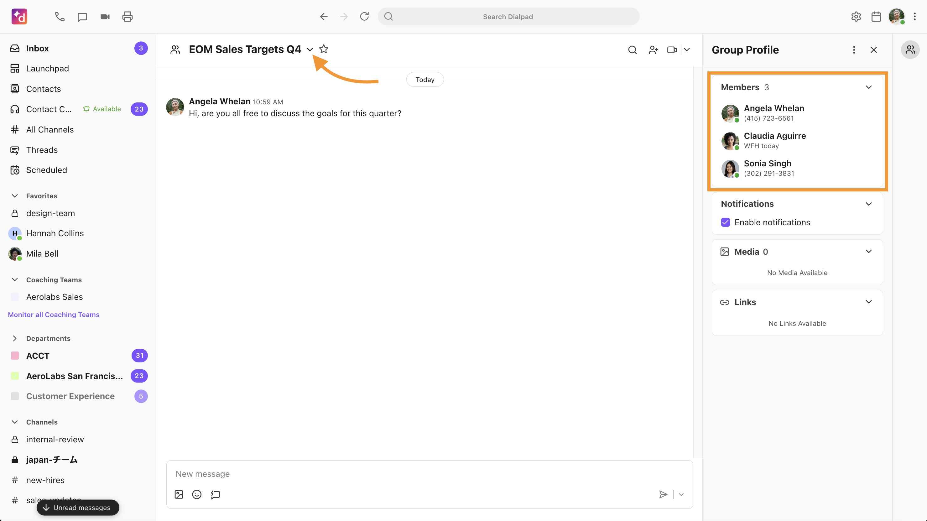 View of a group chat with the skinny bar expanded to show group chat members. The Arrow next to the group chat name is highlighted.