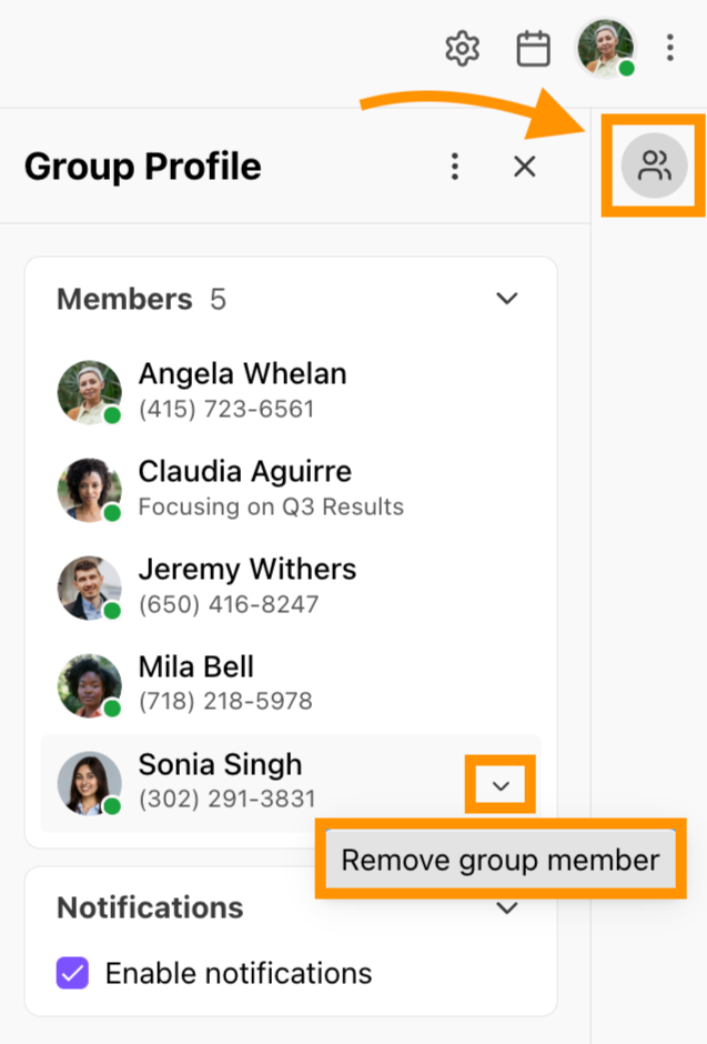 User interface showing a group chat with highlighted option for removing a member from the group chat.