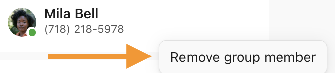 View of a group member in the members panel of a group chat. The option to remove the member from the group chat is highlighted.