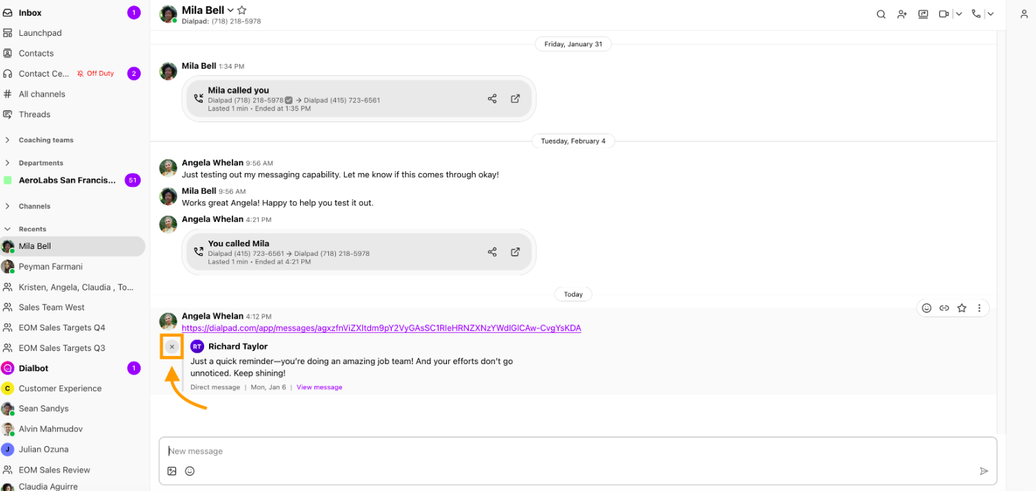 Alt Text Option  "Screenshot of a sent message containing a link preview, featuring an orange arrow pointing to an orange box highlighting the 'X' button in the upper left corner of the preview card.
