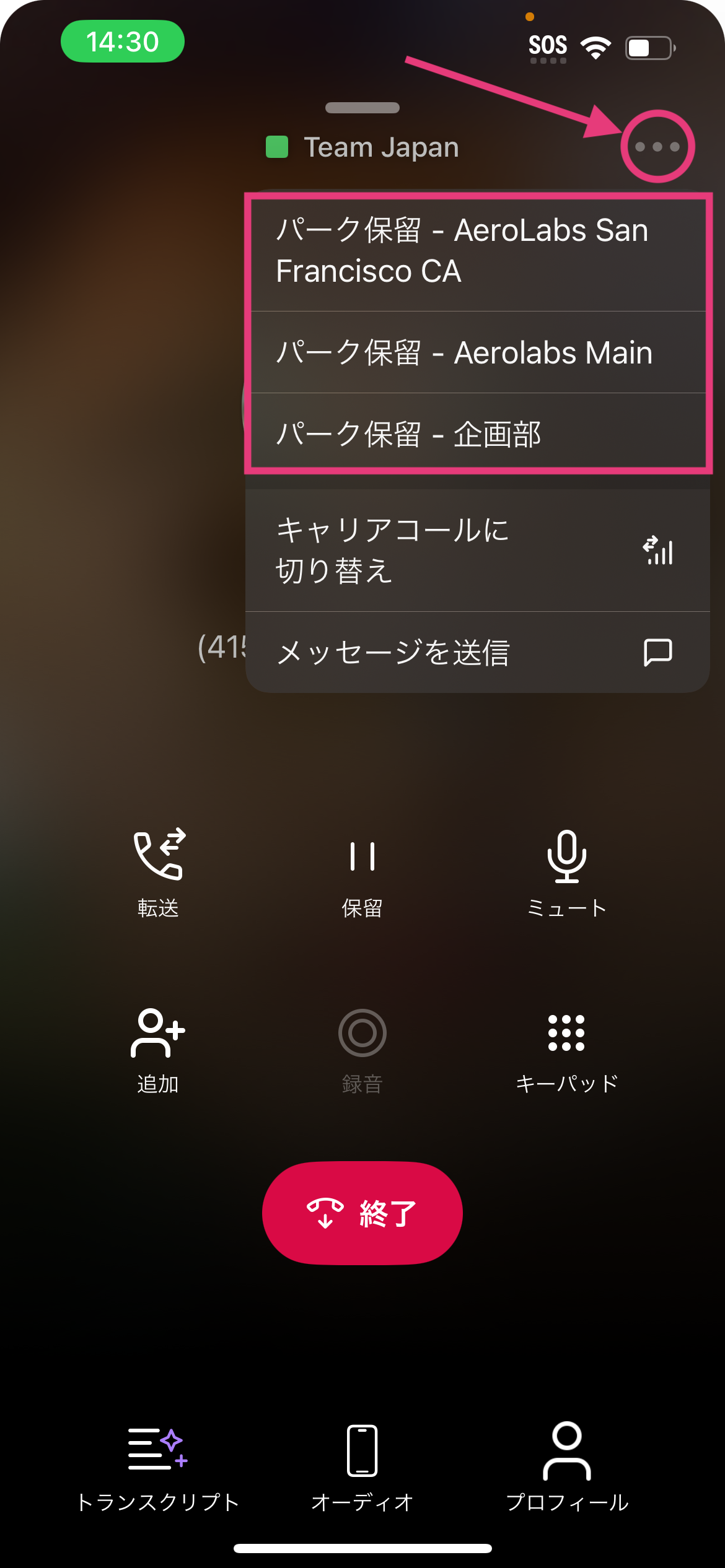 iOS-park-a-call.png