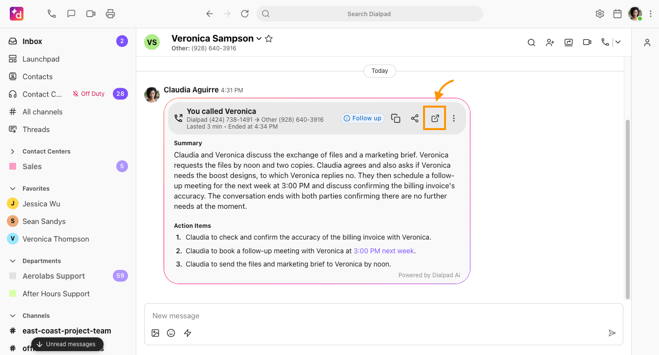 Screenshot of the in-app call details pane highlighting the "Go to call summary page" link next to a finished call entry.