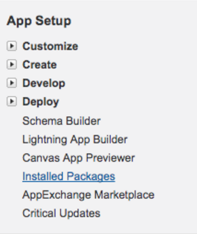 Screenshot of the Salesforce App Setup navigation menu listing options including Customize, Create, Develop, Deploy, and highlighting 'Installed Packages'.
