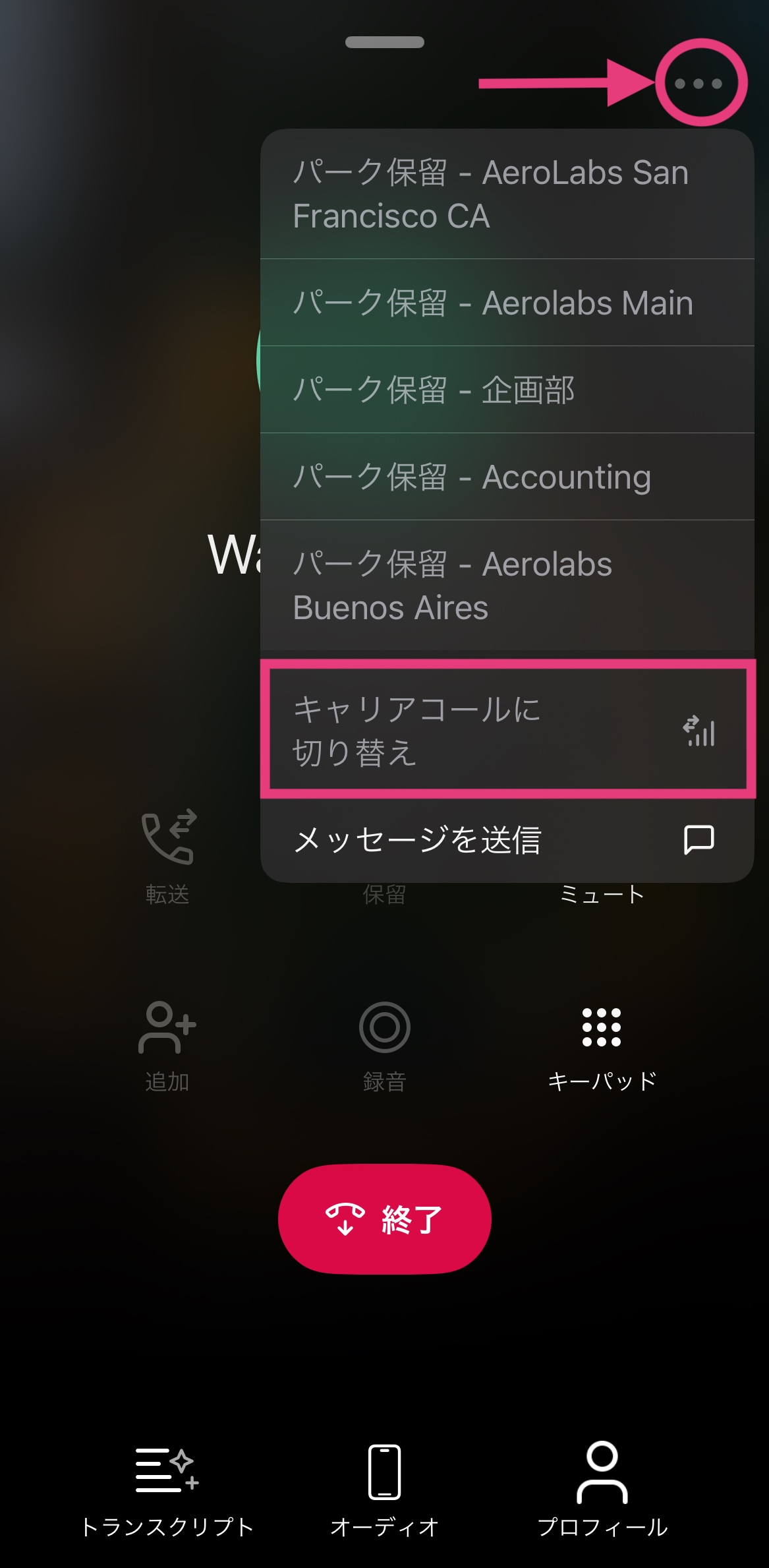 Switch-to-carrier-call-iOS.jpeg