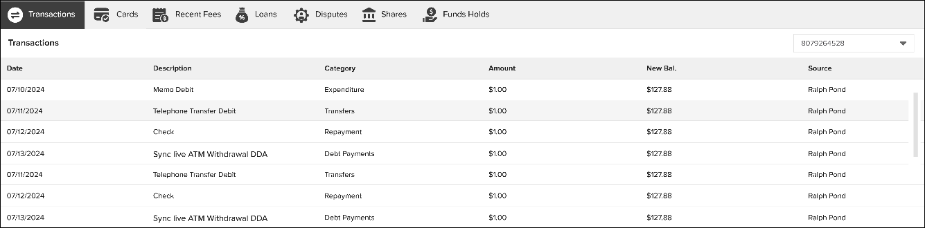 Screenshot of the Transactions tab in NovelVox Agent Accelerator, showing a financial activity table with columns for Date, Description, Category, Amount, New Bal., and Source.