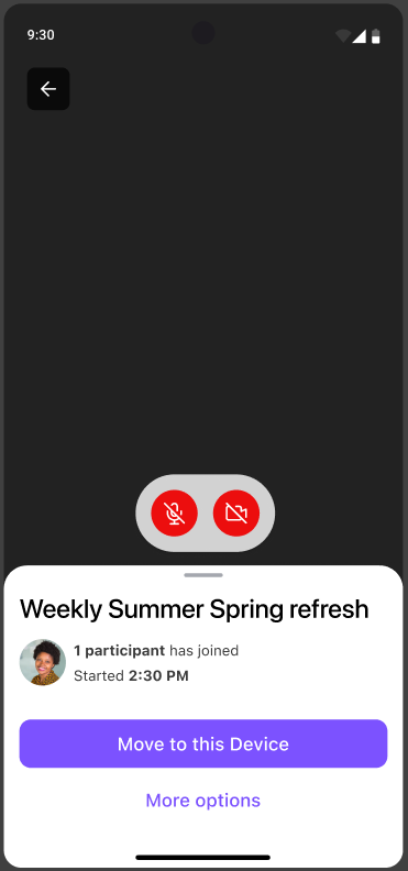 Image of Dialpad Meetings mobile screen.