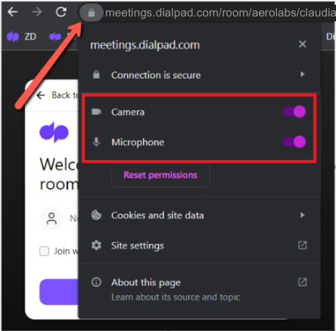 chrome windows mic.png