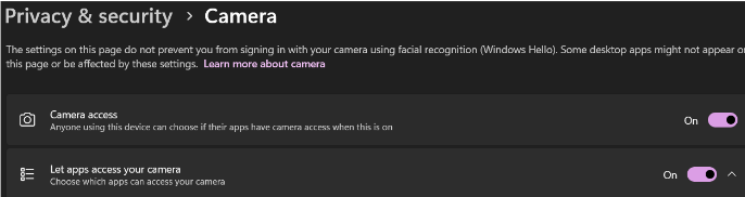 DPM windows camera.png