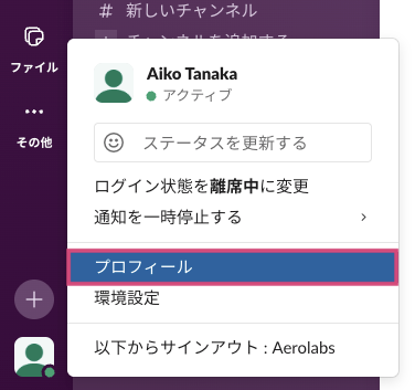 Slack-user-profile-1.png