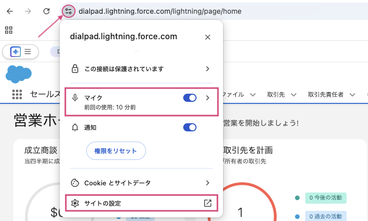Salesforce-website-permissions.png