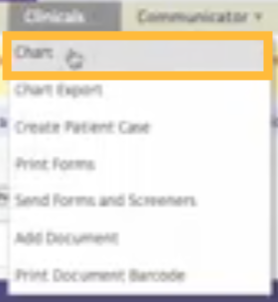 Menu options for clinical charting and patient information management displayed on a screen.