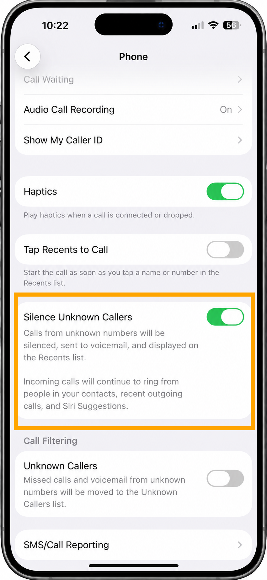 iPhone Phone Settings Screen.png